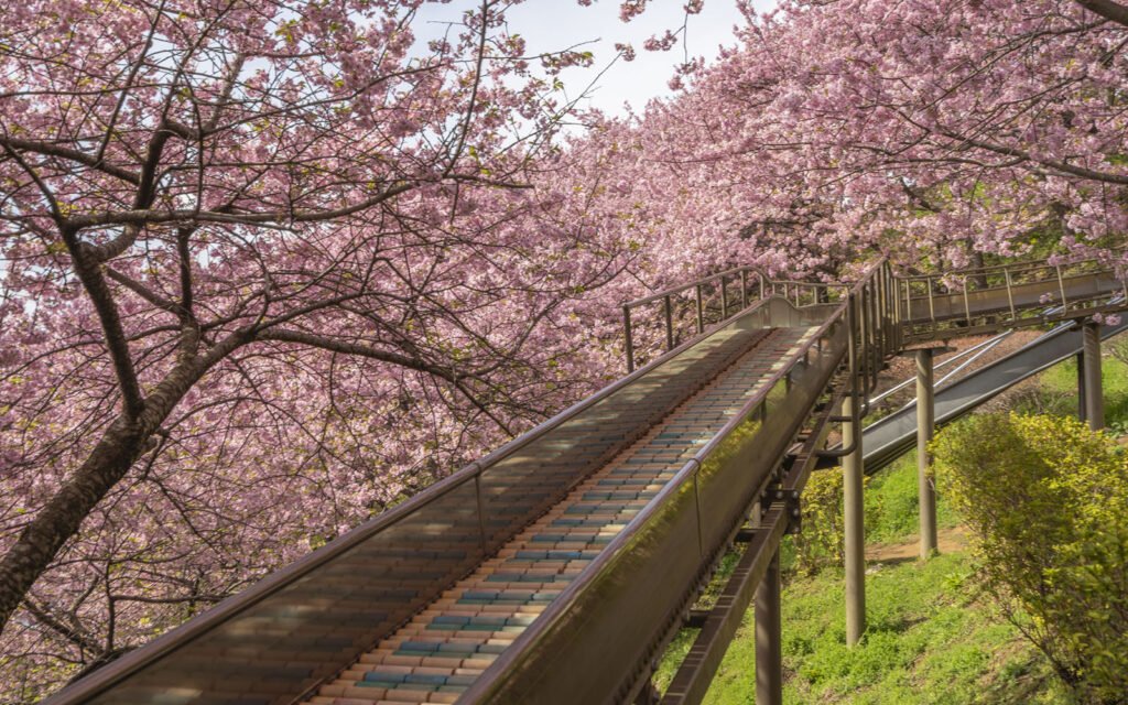 ⛩️ 마쓰도 신사(마츠도진자) 이미지 2